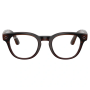 Ray Ban Meta SCRIBER OPTICS (Gen2) S49 RW7002 Transp. Umber  (янтарная оправа/прозрачные линзы)