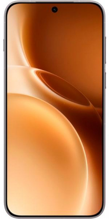Vivo X300 Pro V2514 16/512Gb (Dimensity 9500) Brown (Песчаный бархат) EAC - фото 2