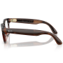 Ray Ban Meta SCRIBER OPTICS (Gen2) S49 RW7002 Transp. Umber  (янтарная оправа/прозрачные линзы)