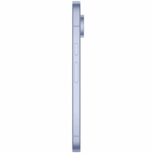 Google Pixel 10 5G 12/256Gb (NFC) (Google Tensor G5) Frost (голубой)