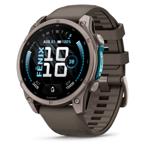 Умные часы Garmin Fenix 9 51mm AMOLED Sapphire Titanium with Pebble Gray Silicone Band (010-04763-05)