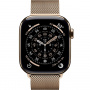 Applre Watch MF8Y4 Series 11 42mm Gold Ti CEL (золото/мил.плетение)