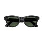 RayBan Meta Skyler gen 2 RW4014 S52 Shiny black/G15 Green (глянцевая черная рамка , зеленые линзы) 
